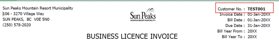 Invoice Example