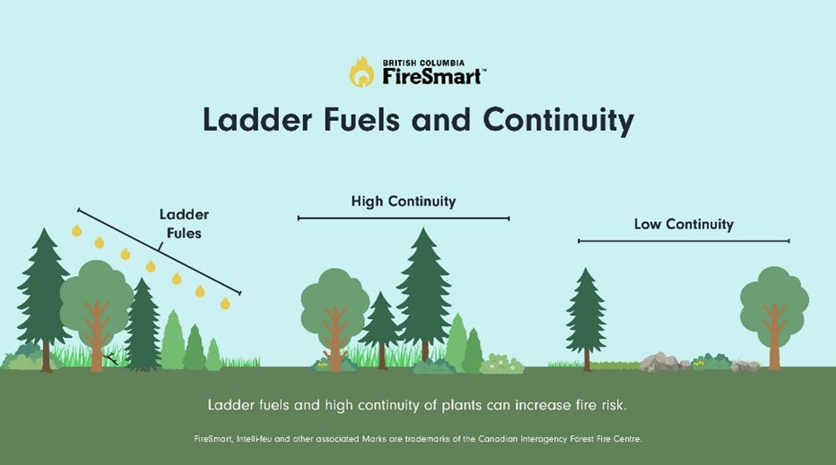 FireSmart Ladder Fuels and Continuity example