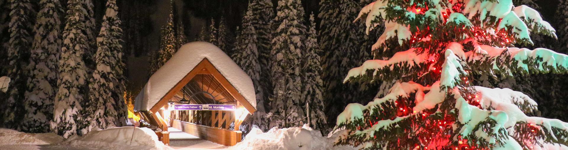 Covered bridge in winter