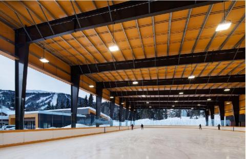Skating