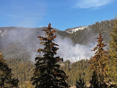 Whitecroft Fire